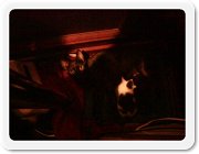  ���ߏ�����̔L�P