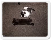  ���ߏ�����̔L2